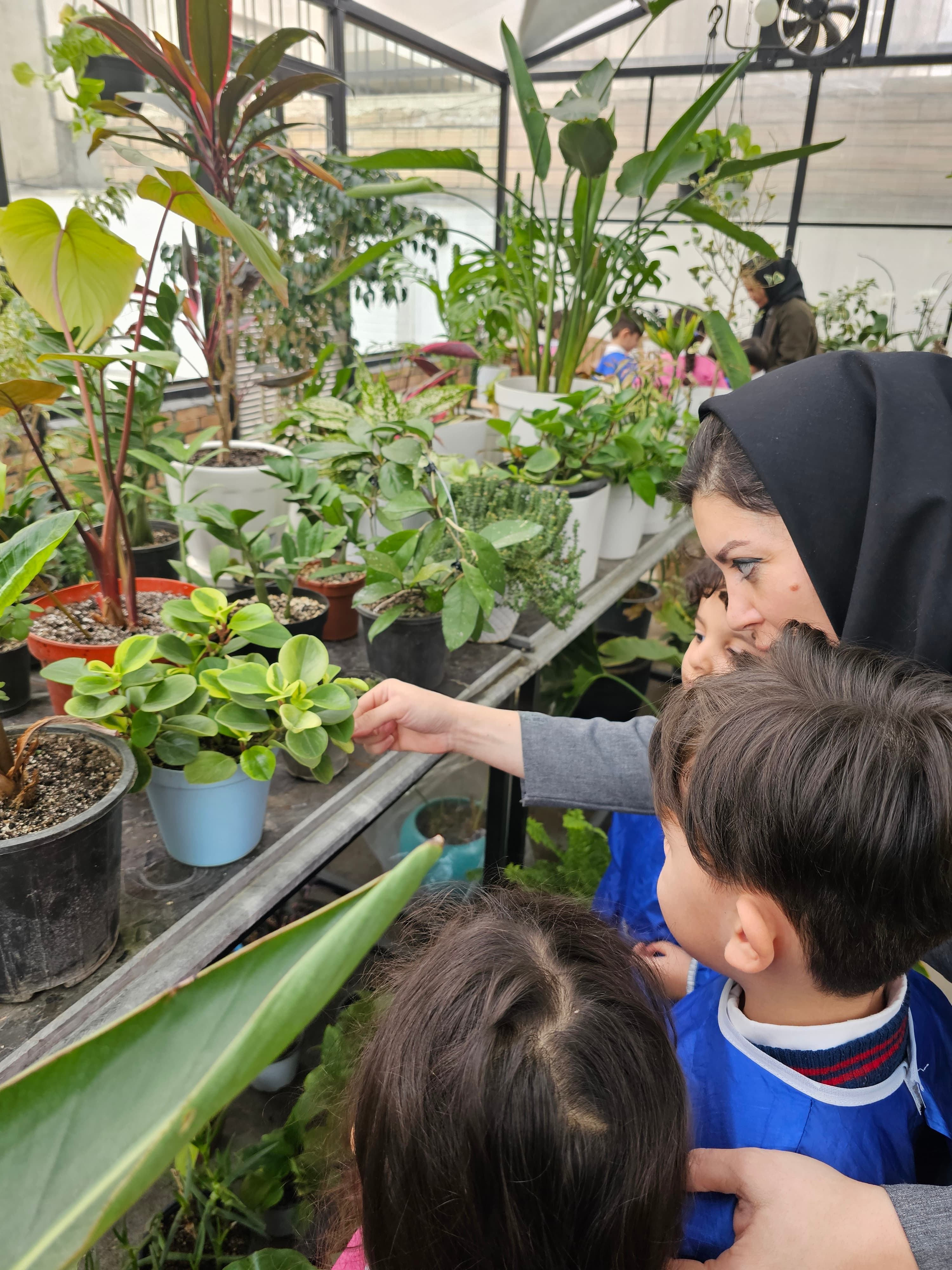نمایی از گل خونه